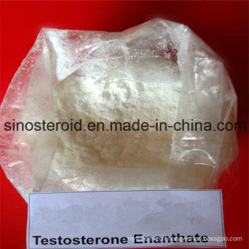 Cypionate de testostérone / Enanthate de testostérone Hormone stéroïde Esthérotode Enanthate de testostérone